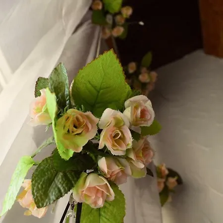 Bed & Breakfast Elizabeth Ponte di Piave