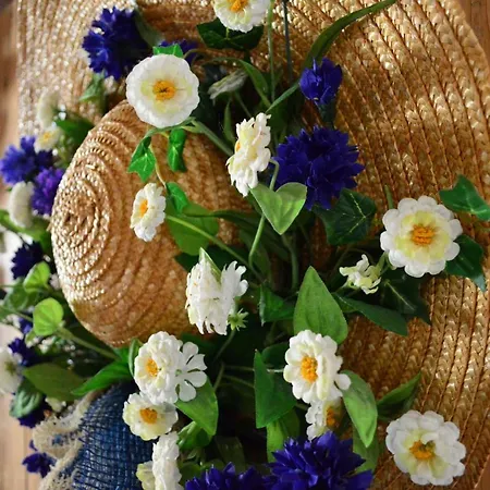 Elizabeth Frühstückspension 3*