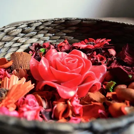 Elizabeth 3* Ponte di Piave