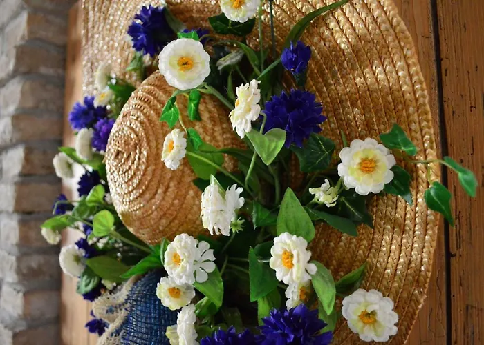 Elizabeth Couette-café 3*