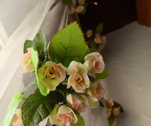 Panzió Elizabeth Ponte di Piave