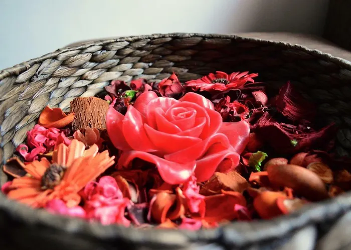 Elizabeth 3* Ponte di Piave